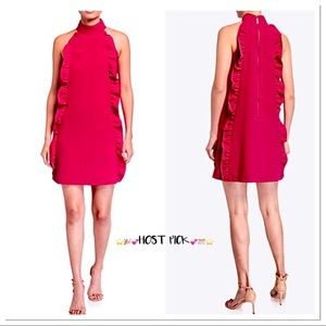 🎉HP🎊 NWT Ted Baker “Torriya” Ruffle Sheath Dress